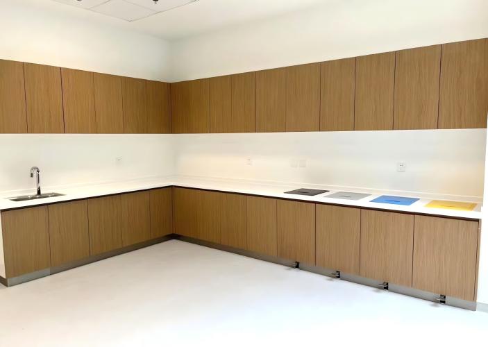 特殊实验室柜定制